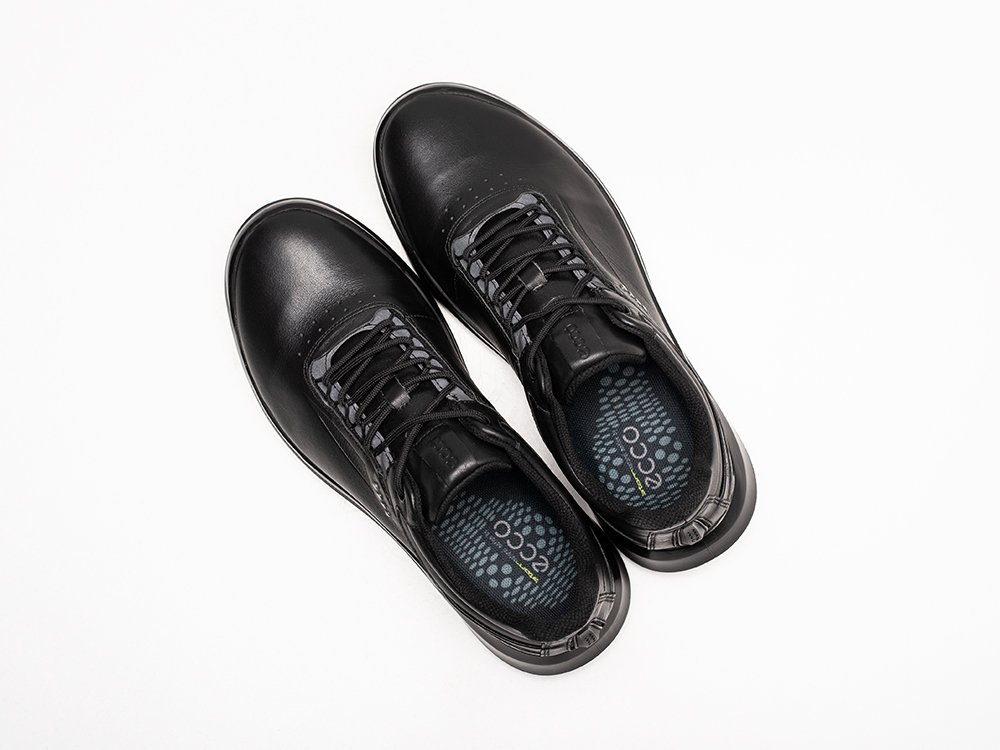 Ecco Biom 2024